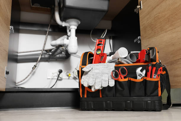 Best Leak Detection Services  in Naples Park, FL